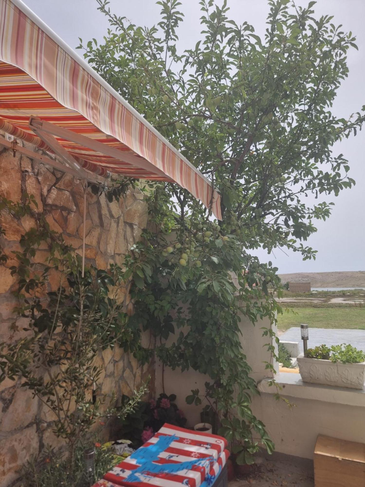 Apartmani Alen Dinjiška Екстериор снимка